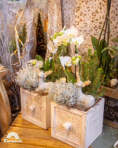 Montage floral de Noël en pots avec des orchidées et décorations de rennes.